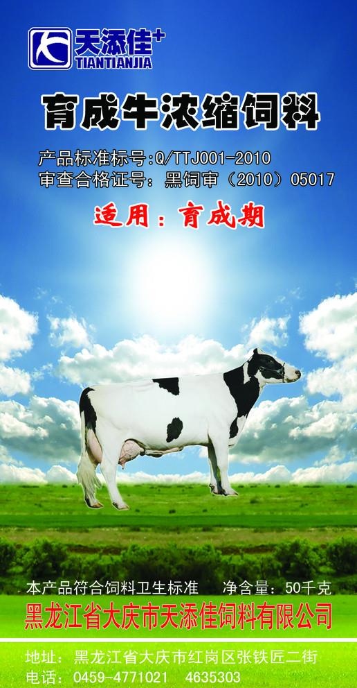 育成牛浓缩饲料 海报 展板图片(839x1665)psd模版下载