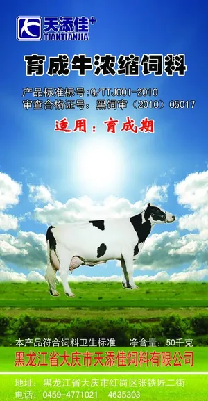 育成牛浓缩饲料 海报 展板图片