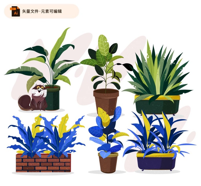 精致手绘家居盆栽植物图片