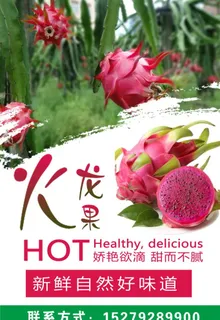 火龙果图片