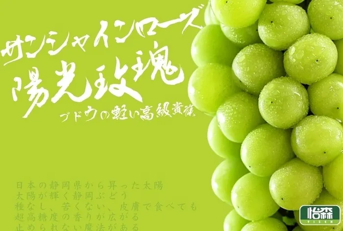 葡萄包装图片