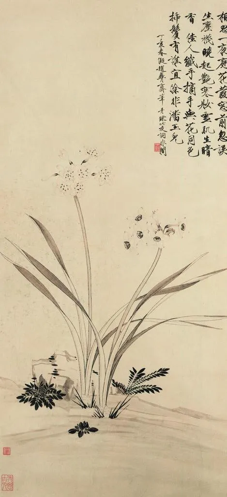 水仙图片(1695x3466)