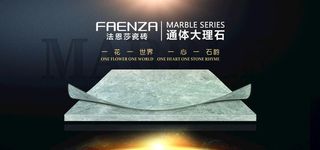 法恩莎瓷砖 通体大理石图片