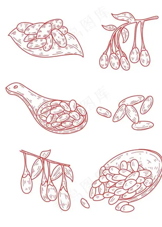枸杞图片