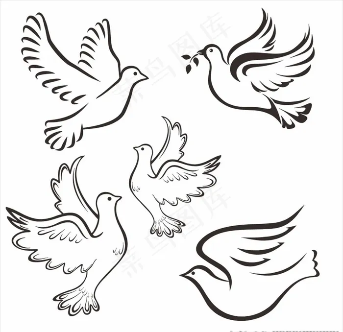 白鸽图案图片cdr矢量模版下载