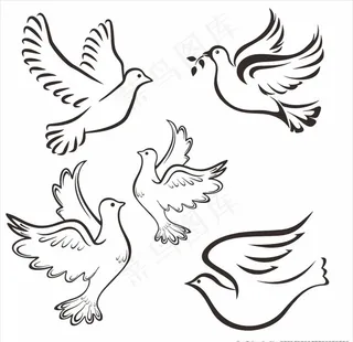 白鸽图案图片