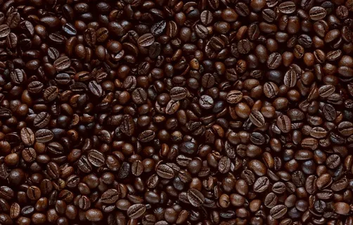 咖啡豆            图片