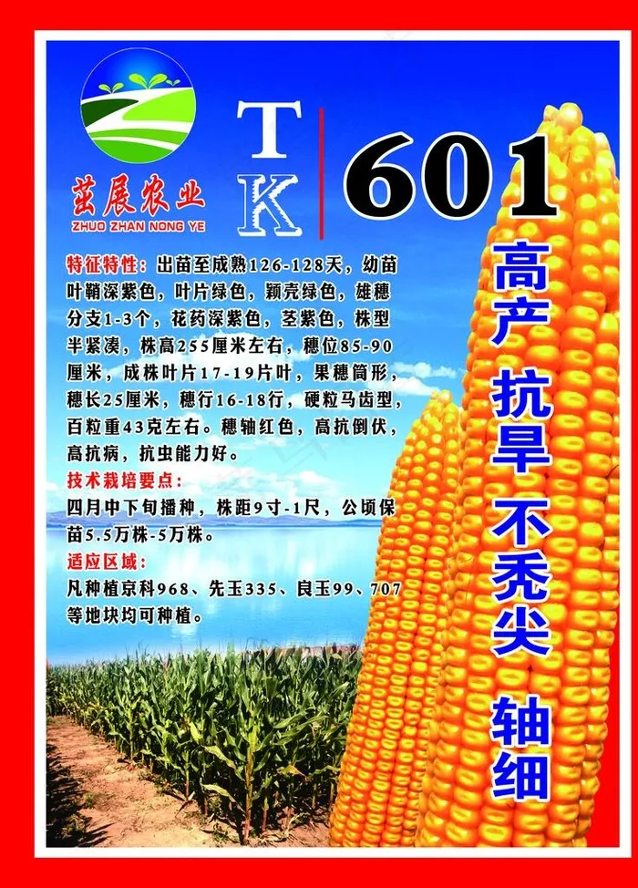 玉米海报图片(3543x4724)psd模版下载