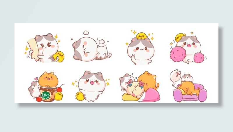 猫图片