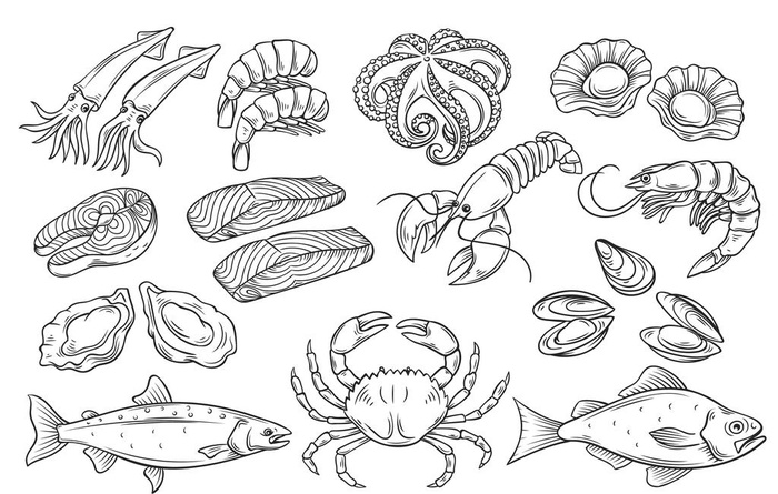 手绘海鲜食材速写插画图片