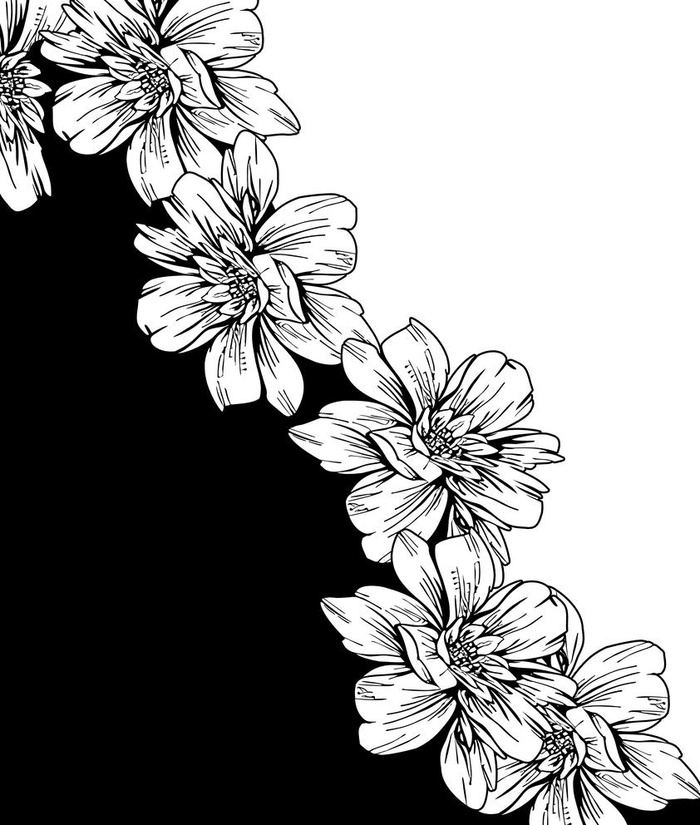 大牌 定位花 花卉图片