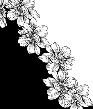 大牌 定位花 花卉图片