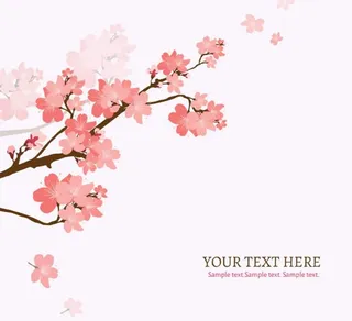 樱花花枝背景素材图片