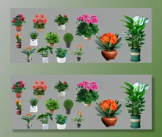 免扣盆栽花卉绿植图片