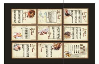 中医养生形象墙图片