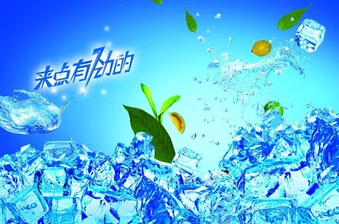 冰块 薄荷叶图片 冰块 薄荷叶图片