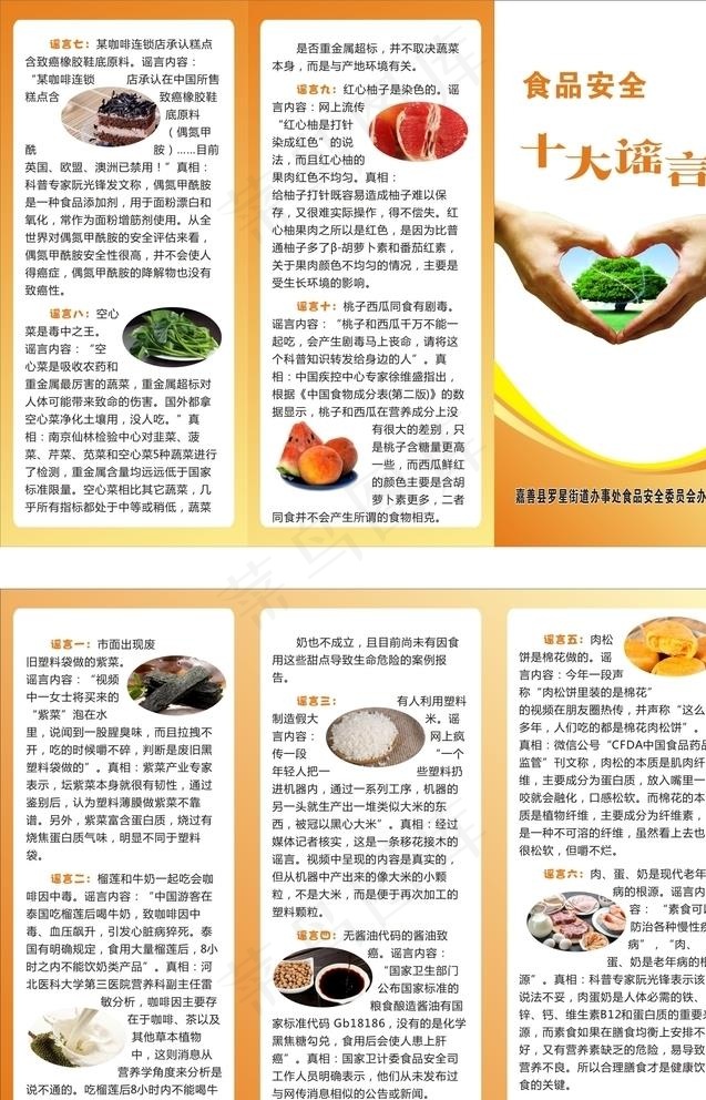 食品安全三折页 十大谣言图片cdr矢量模版下载
