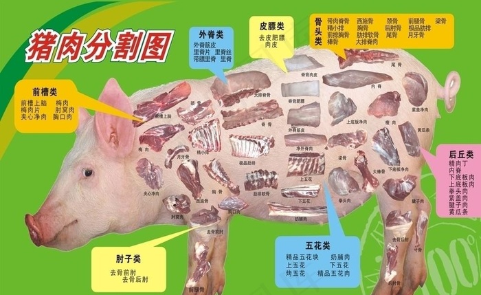 猪肉分割图图片cdr矢量模版下载