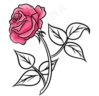 手绘玫瑰花图片