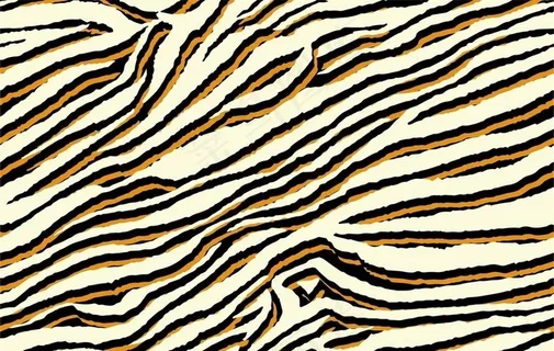 斑马纹图片