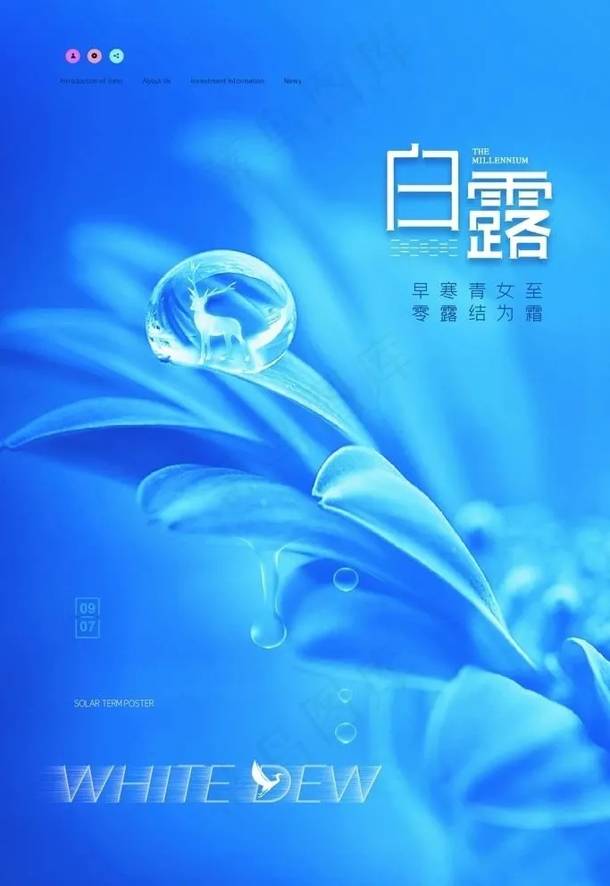 白露图片psd模版下载