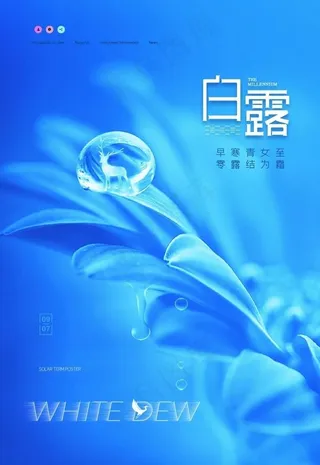 白露图片