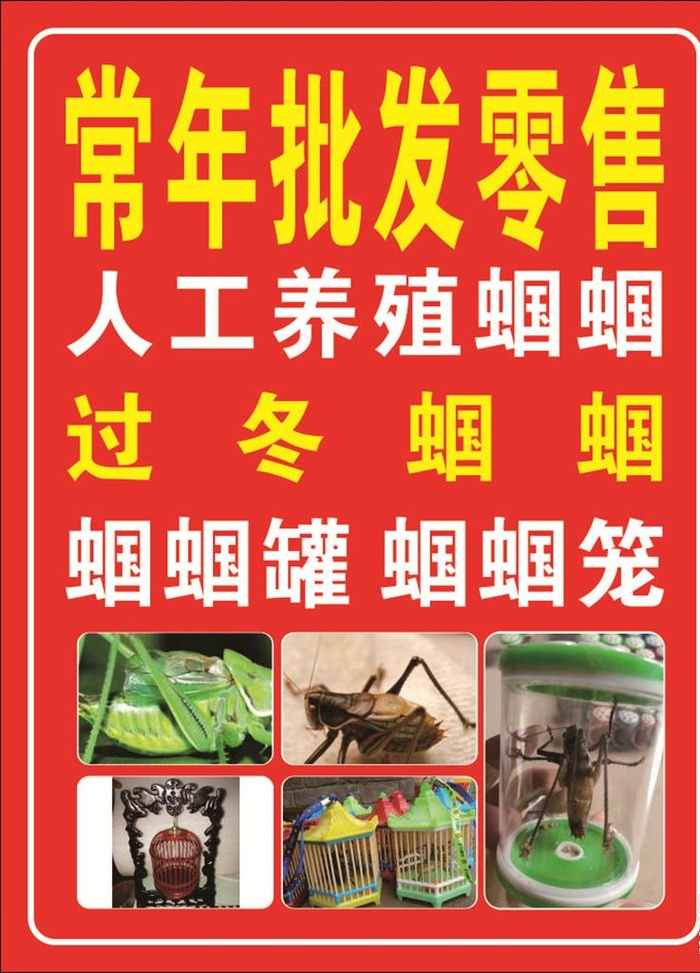 蝈蝈 蝈蝈笼图片cdr矢量模版下载