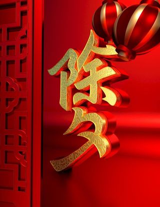 虎年春节           图片