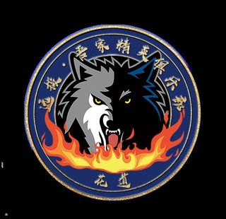 狼头,森林狼,胸徽,俱乐部徽章,标志,