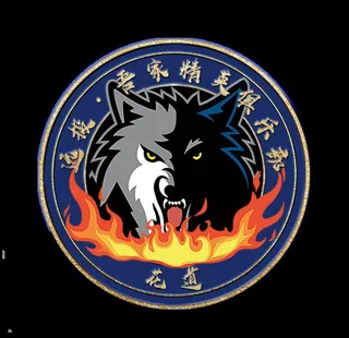 狼头,森林狼,胸徽,俱乐部徽章,标志,