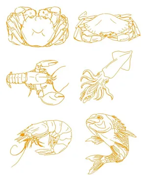 线稿虾海鲜图片