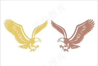 老鹰矢量图图片