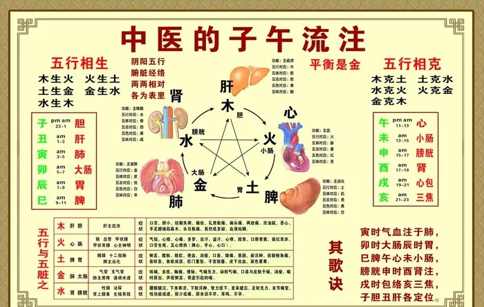 中医的子午流注图片(4727x3150)psd模版下载