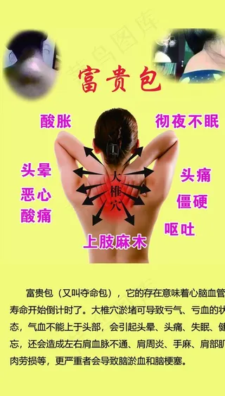 富贵菜鸟图库片