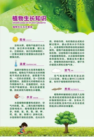 植物生长知识 生长五大要素图片