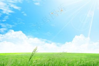 草地蓝天图片