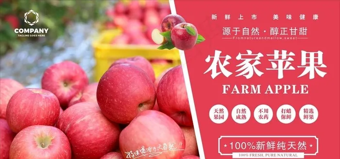 苹果图片cdr矢量模版下载