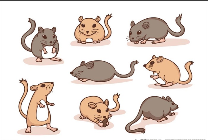 卡通仓鼠图片