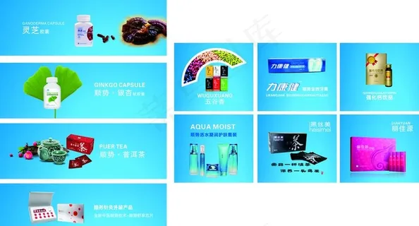 康力 顺势 蓝色 灵芝图片