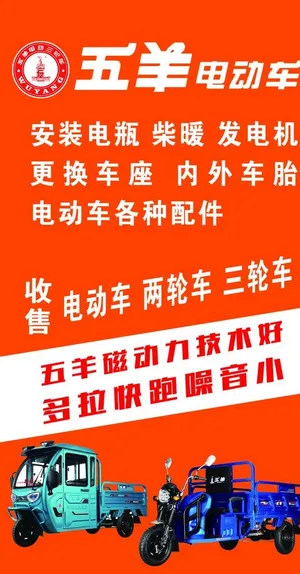 五羊电动车图片