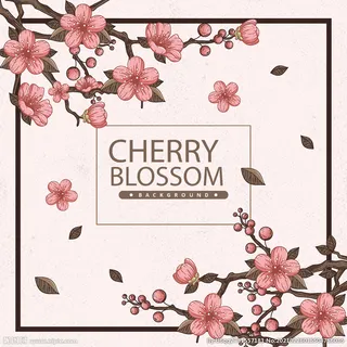 樱花素材图片