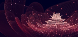 花图片