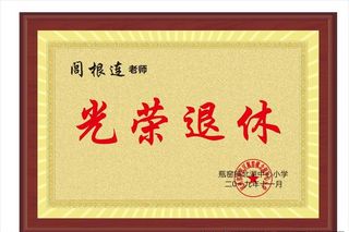 光荣退休奖牌图片