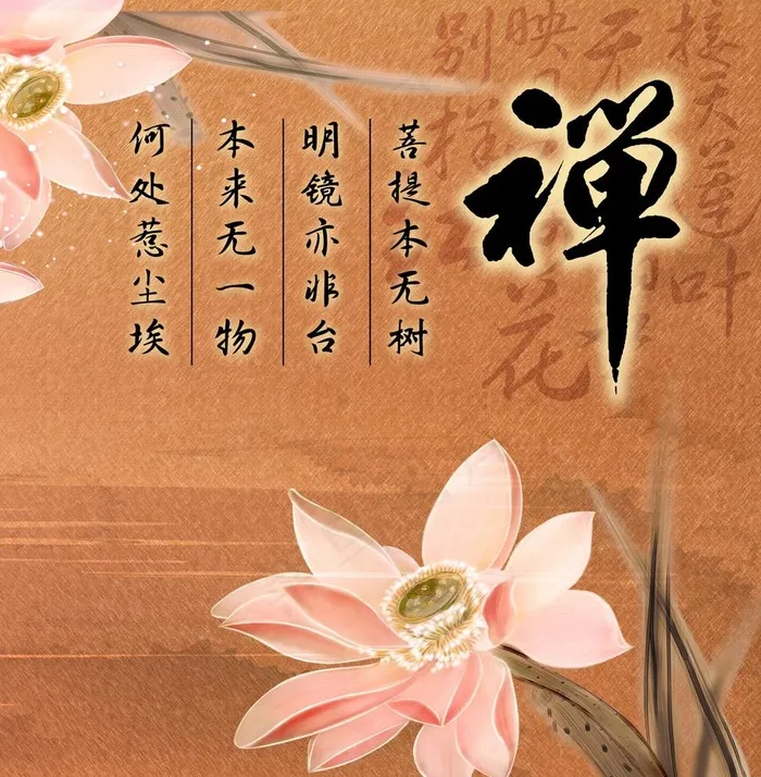 禅意荷花图片