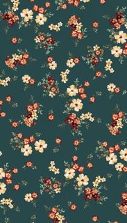 花朵 花卉 欧美印花 各种花图片