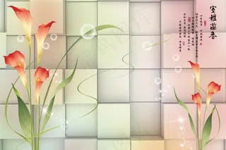 彩色马蹄莲图片