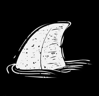 鲨鱼鳍卡通图片