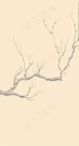 梅花枝条图片 梅花枝条图片