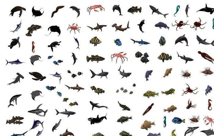 海洋鱼类大全图片