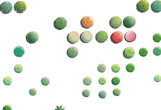 psd平面植物素材图片